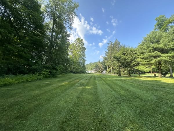 Lawn care service